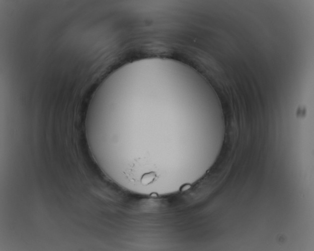 X0000093520320200710121133