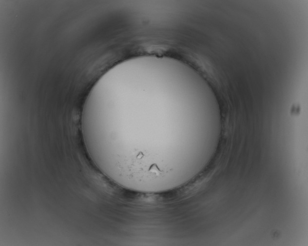 X0000093520321200710121133