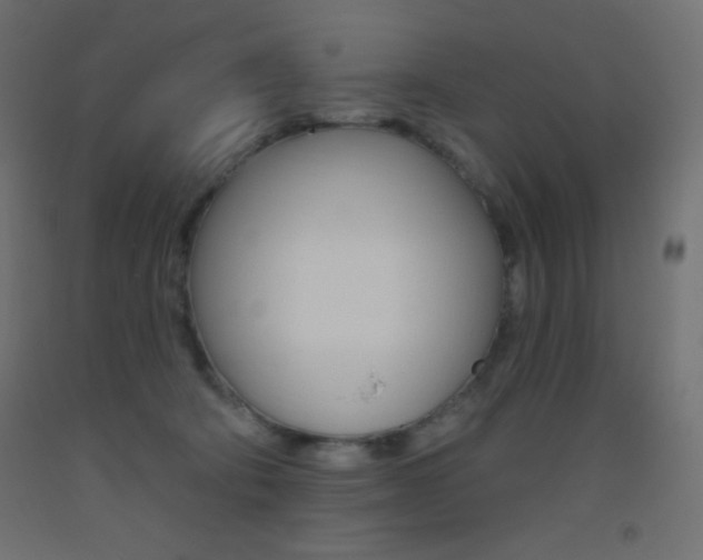 X0000093520322200710121133