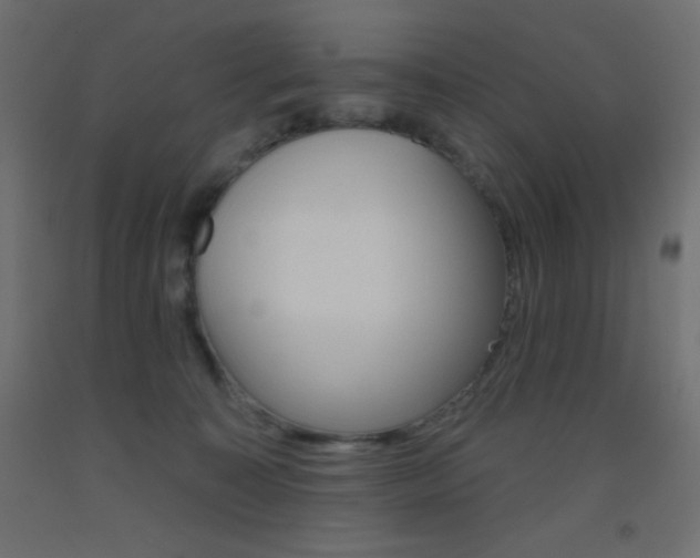 X0000093520323200710121133