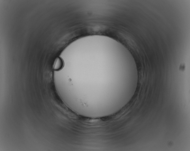 X0000093520324200710121133