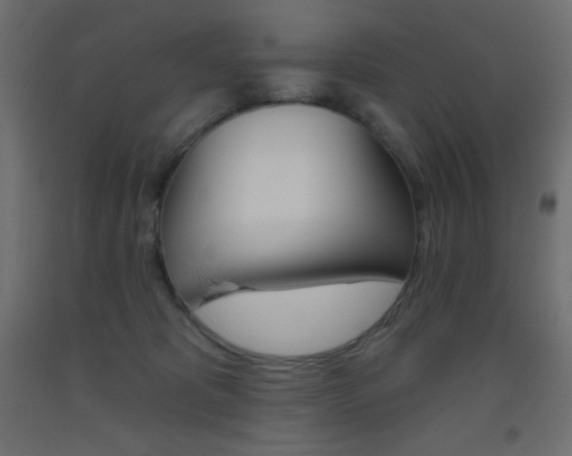 X0000093520325200710121133