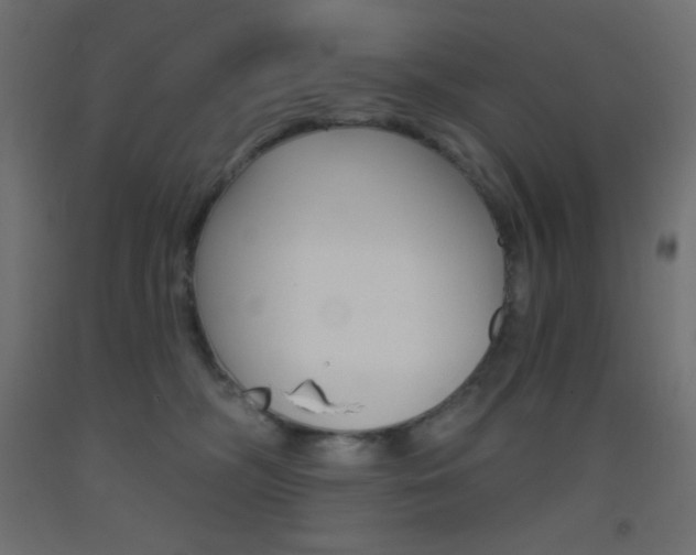 X0000093520326200710121133