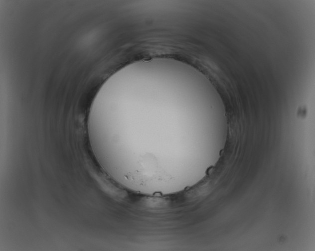 X0000093520327200710121133
