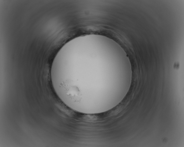 X0000093520328200710121133