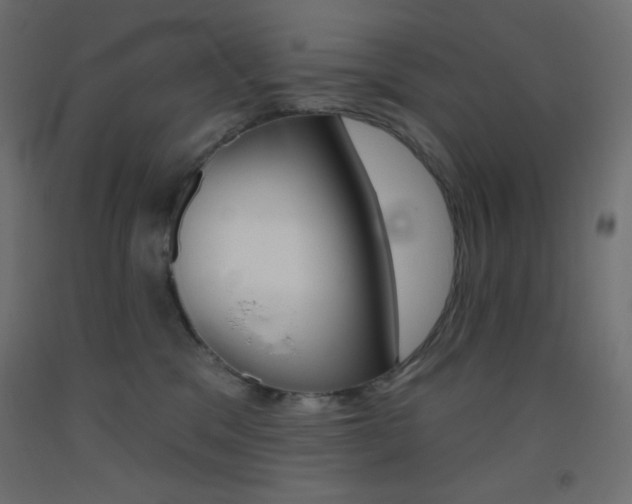 X0000093520329200710121133