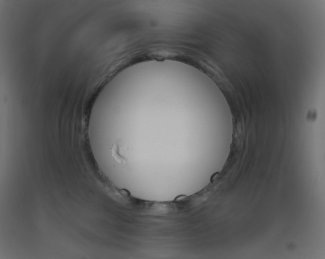 X0000093520330200710121133