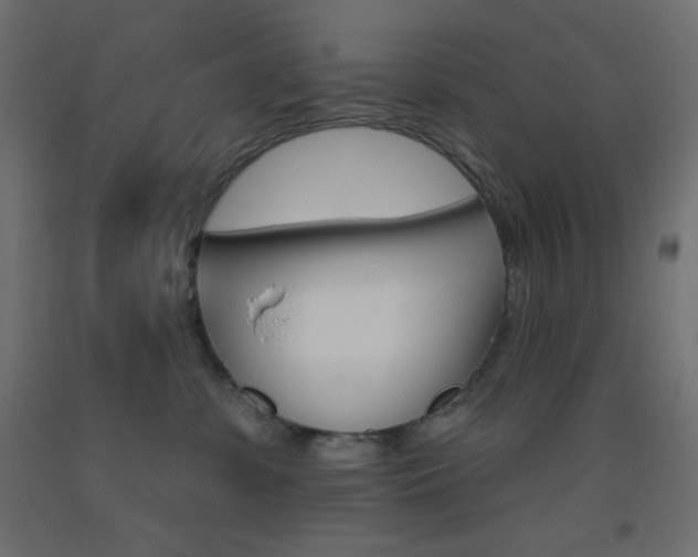 X0000093520331200710121133