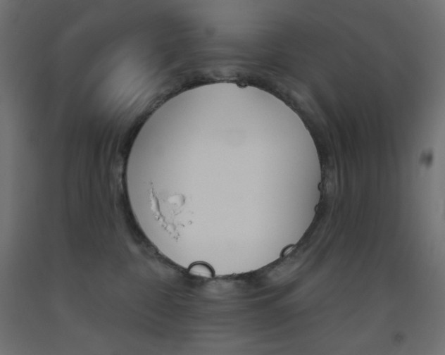 X0000093520332200710121133