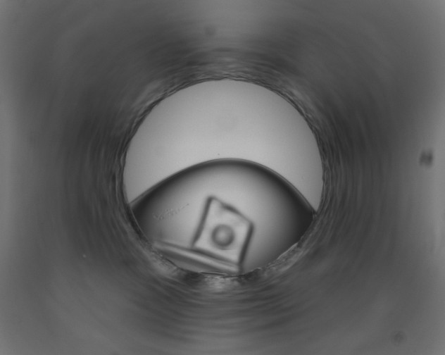X0000093520333200710121133