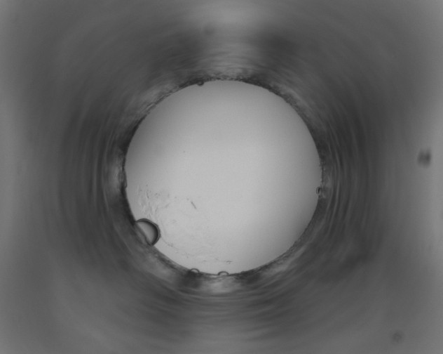 X0000093520334200710121133