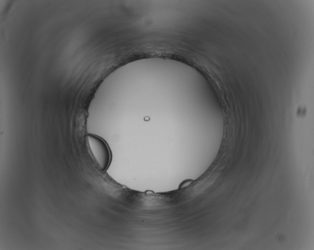 X0000093520336200710121133