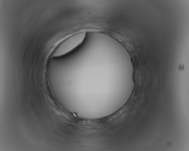 X0000093520338200710121132