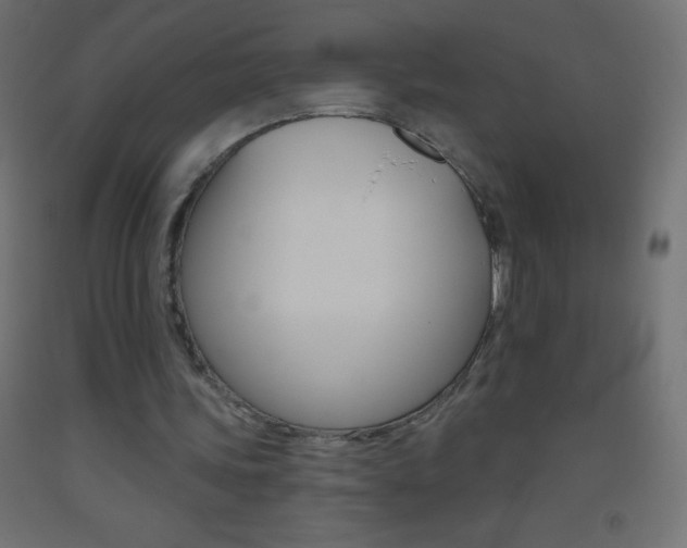X0000093520339200710121132