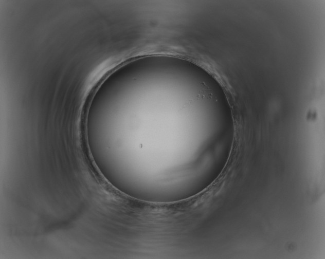 X0000093520340200710121132