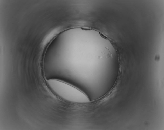 X0000093520341200710121132