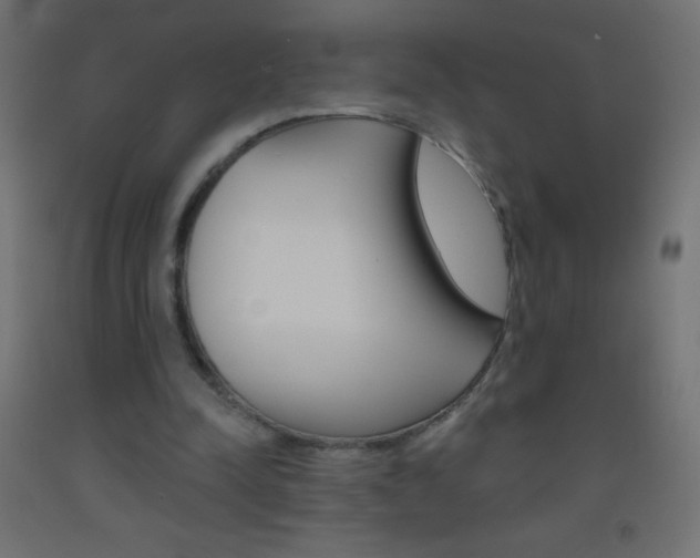 X0000093520342200710121132