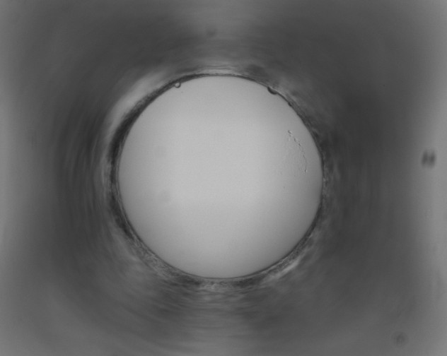 X0000093520343200710121132