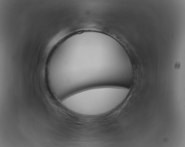 X0000093520344200710121132