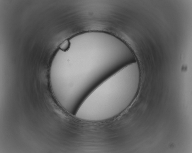 X0000093520345200710121132
