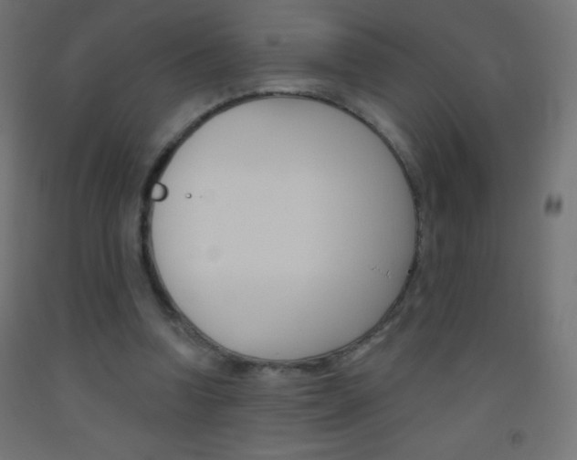 X0000093520346200710121132