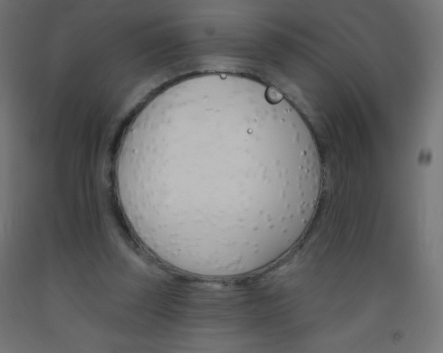 X0000093520347200710121132