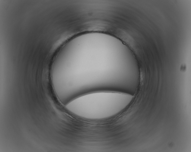 X0000093520348200710121132