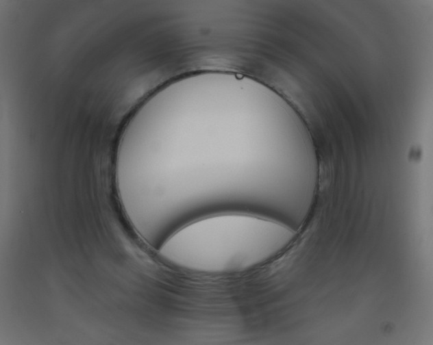 X0000093520349200710121133