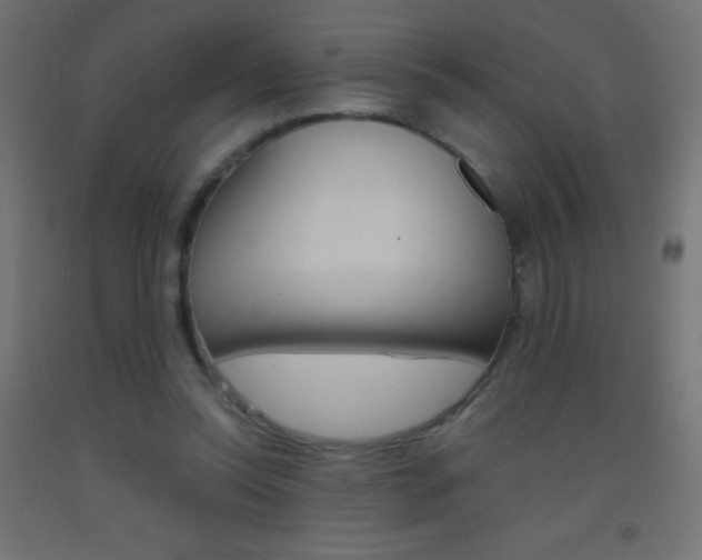 X0000093520350200710121133