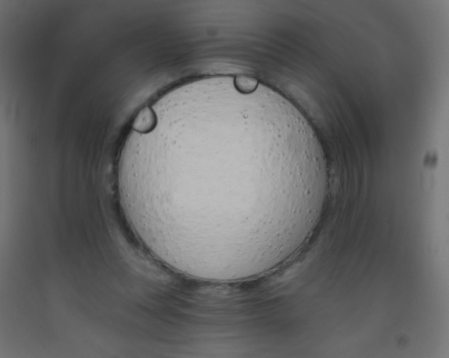 X0000093520351200710121133