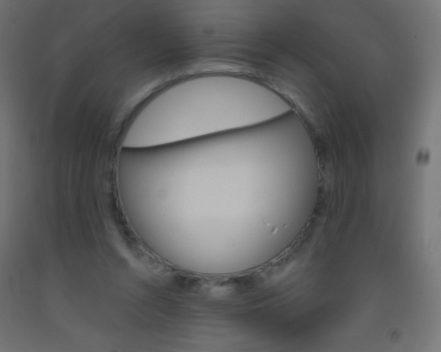 X0000093520352200710121133