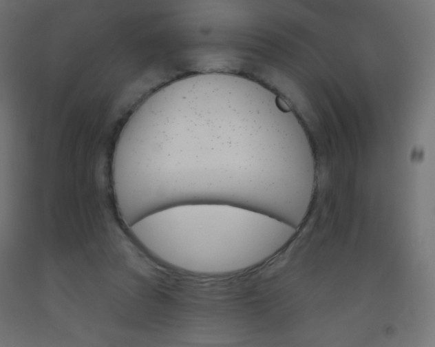 X0000093520353200710121133