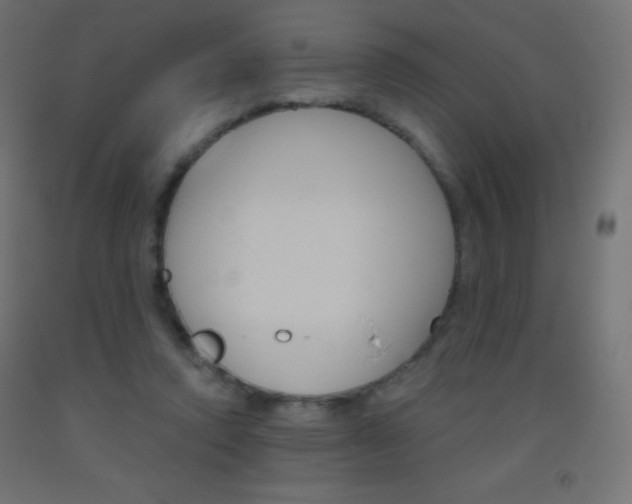 X0000093520354200710121133