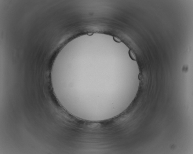 X0000093520355200710121133