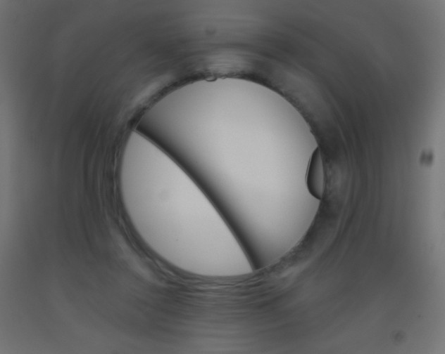 X0000093520356200710121133