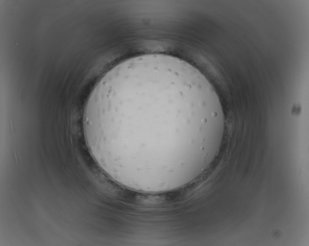X0000093520359200710121133