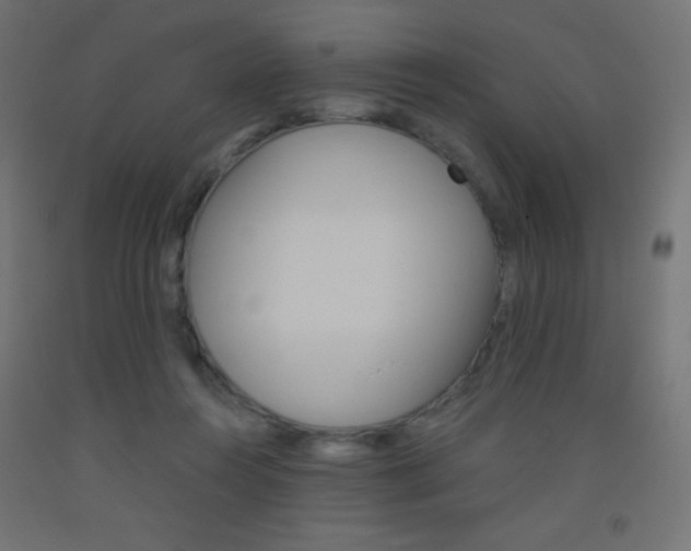 X0000093520360200710121133