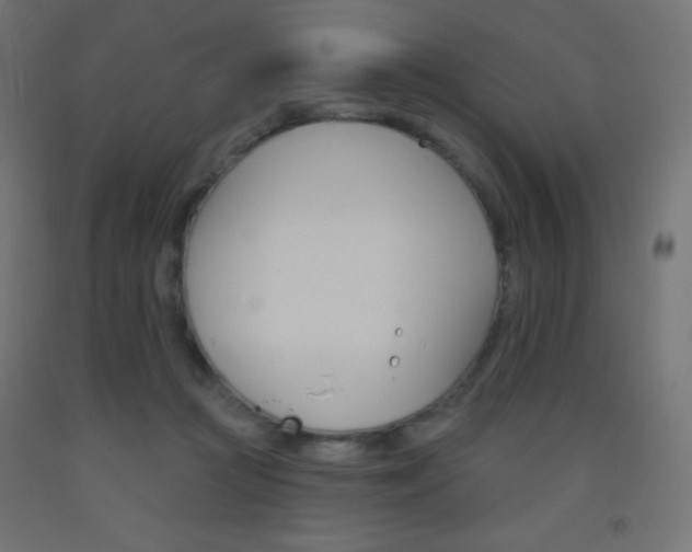 X0000093520361200710121133