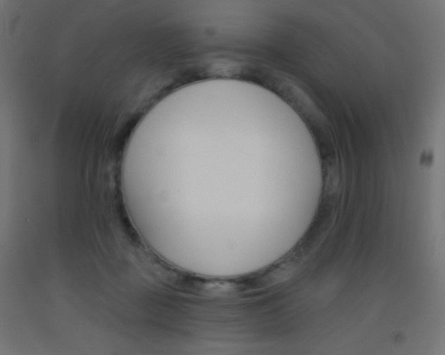 X0000093520363200710121133