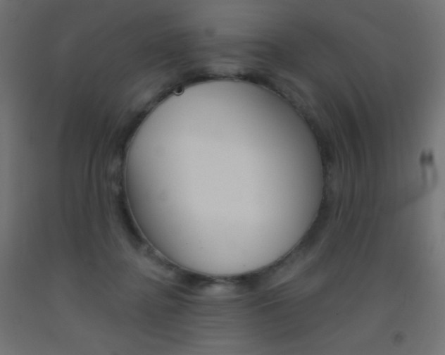 X0000093520364200710121133