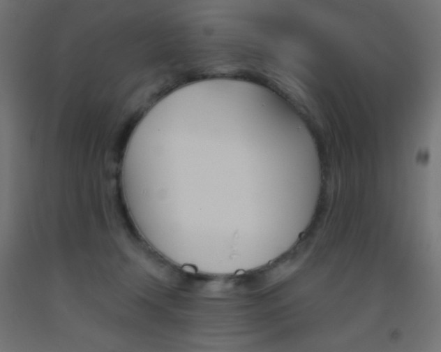 X0000093520366200710121133