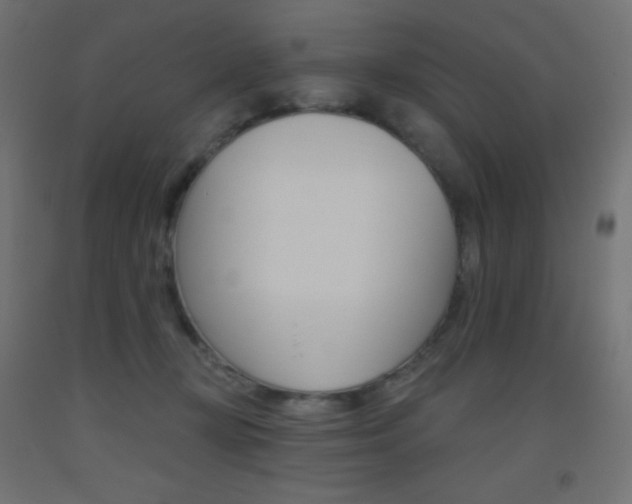 X0000093520367200710121133
