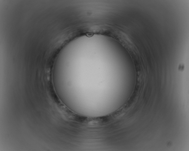 X0000093520368200710121133