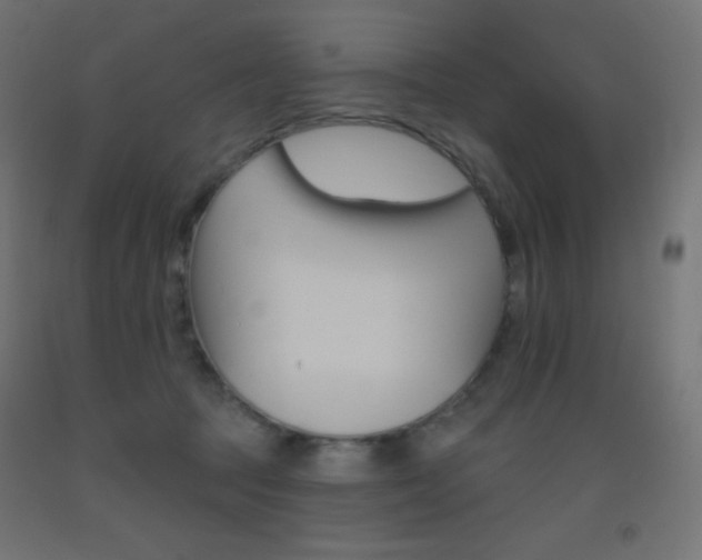 X0000093520369200710121133