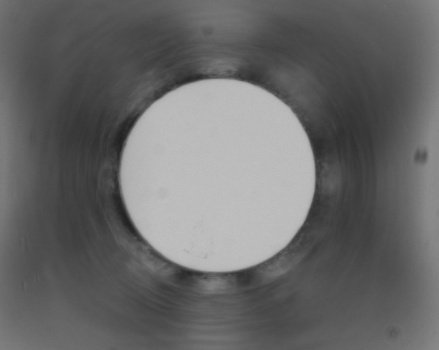 X0000093520370200710121133
