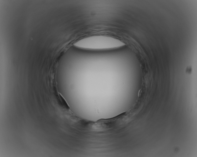 X0000093520372200710121133