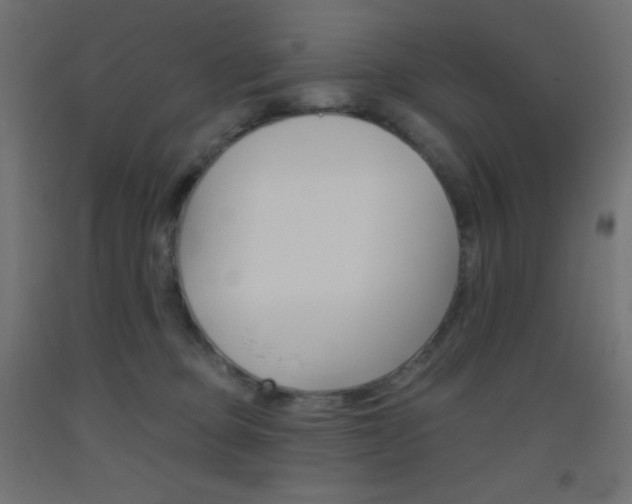 X0000093520373200710121133