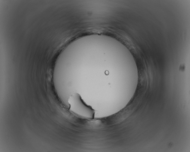 X0000093520374200710121133