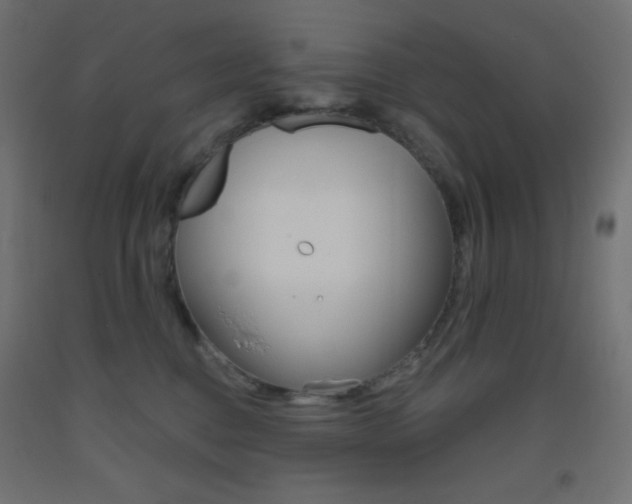 X0000093520376200710121133