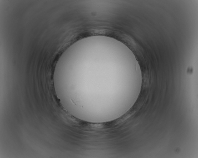 X0000093520377200710121133